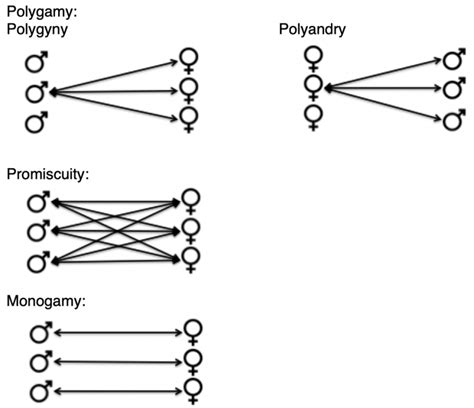 mating|Mating Systems in Sexual Animals 